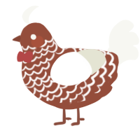 A russet and white chicken with a lace pattern