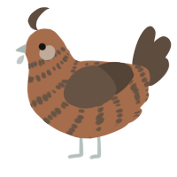 A brown and bark chicken with a bar pattern