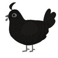 A black and sable chicken with a lace pattern