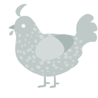 A silver chicken with a speckle pattern