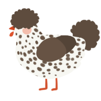 A white and bark chicken with a speckle pattern