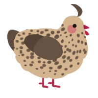 A beige and bark chicken with a speckle pattern