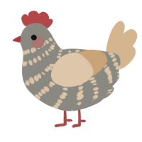 A ash and beige chicken with a bar pattern