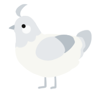 A white and mist chicken with a head pattern