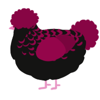 A black and maroon chicken with a half-lace pattern