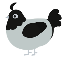 A silver and black chicken with a head pattern