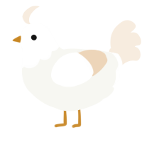 A white and cream chicken with a head pattern