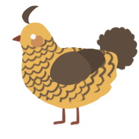 A honey and bark chicken with a lace pattern