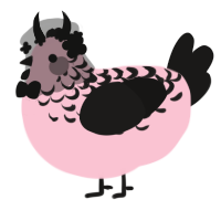 A rose and sable chicken with a half-lace pattern
