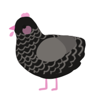 A sable and grey chicken with a lace pattern