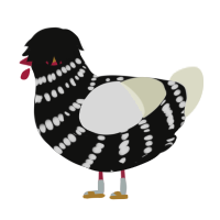 A black and white chicken with a bar pattern