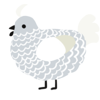 A mist and white chicken with a lace pattern
