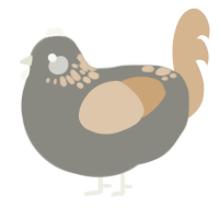A ash and beige chicken with a neck-speckle pattern