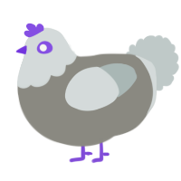 A ash and silver chicken with a head pattern