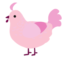A rose and pink chicken with a half-lace pattern