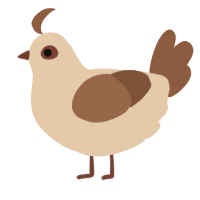 A cream and brown chicken