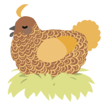 A brown and honey chicken with a double-lace pattern