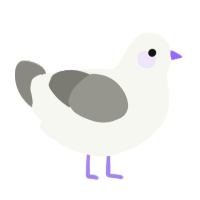 A white and ash chicken