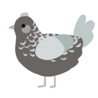 A grey and silver chicken with a half-lace pattern