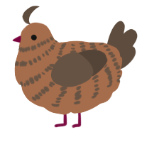 A brown and bark chicken with a bar pattern