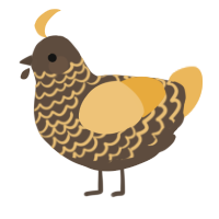 A bark and honey chicken with a lace pattern
