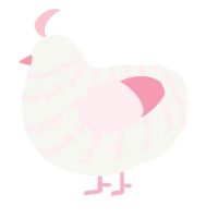 A white and rose chicken with a bar pattern