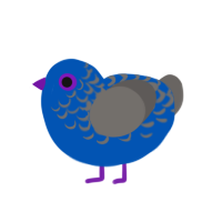 (unnamed), a ultramarine and grey chicken with a half-lace pattern