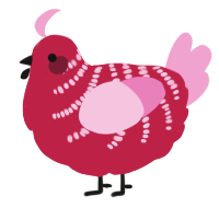 A crimson and pink chicken with a half-bar pattern