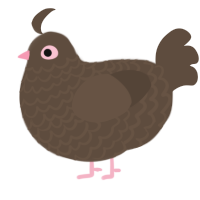 A bark chicken with a lace pattern