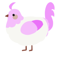 A white and lavender chicken with a head pattern