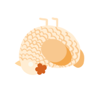 A cream and beige chicken with a lace pattern