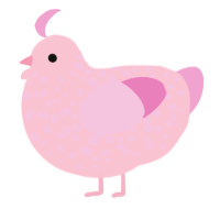 A rose and pink chicken with a speckle pattern