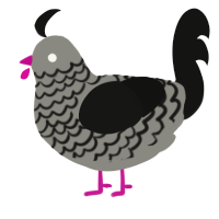 A ash and black chicken with a lace pattern