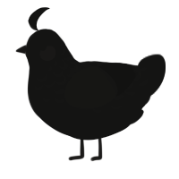 A black chicken with a half-lace pattern