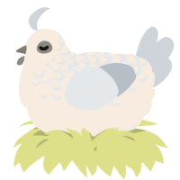 A cream and mist chicken with a half-lace pattern