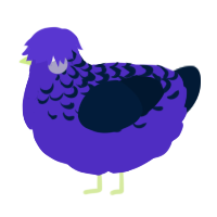 A indigo and tumblr chicken with a half-lace pattern