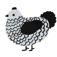 A mist and black chicken with a lace pattern