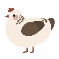 A cream and bark chicken with a neck-band pattern