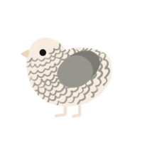 (unnamed), a cream and ash chicken with a lace pattern