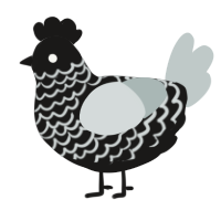 A sable and silver chicken with a lace pattern