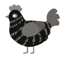A black and grey chicken with a bar pattern