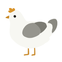 A white and ash chicken