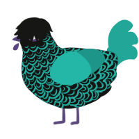 A black and turquoise chicken with a double-lace pattern