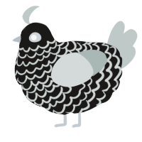 A sable and silver chicken with a lace pattern