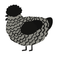 A ash and black chicken with a lace pattern