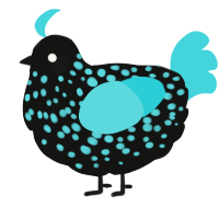 A black and aqua chicken with a speckle pattern