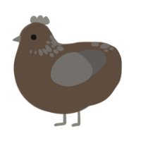 A bark and grey chicken with a neck-speckle pattern