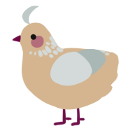 A beige and silver chicken with a neck-speckle pattern