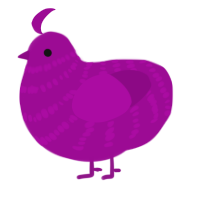 A plum chicken with a bar pattern