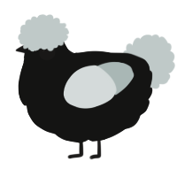 A black and silver chicken